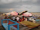 india09 650